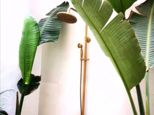 1dbe07c8-5b8c-4220-afbe-2c938fc9658c