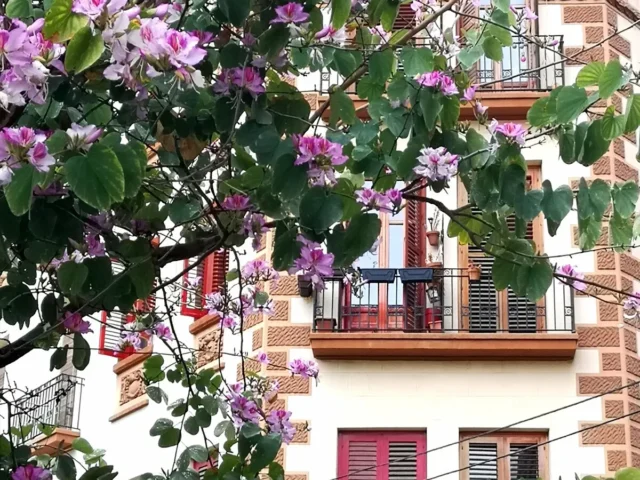 Apartamento Alicante City Beach Flower Market