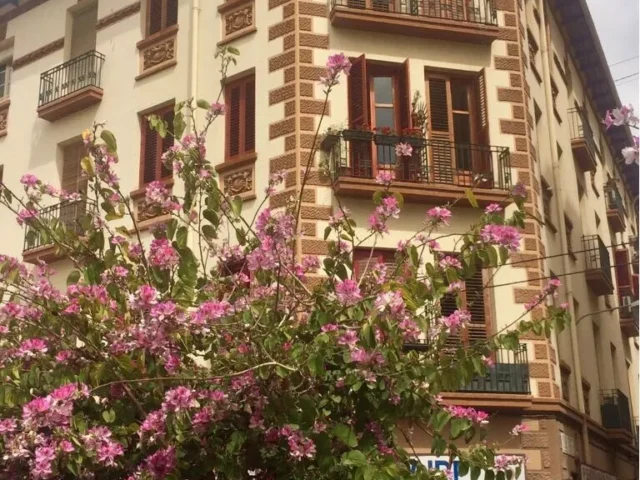 Apartamento Alicante City Beach Flower Market