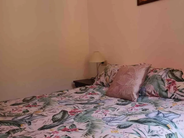 Apartamento Alicante City Beach Flower Market